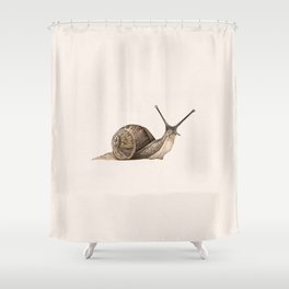 snail II Shower Curtain
