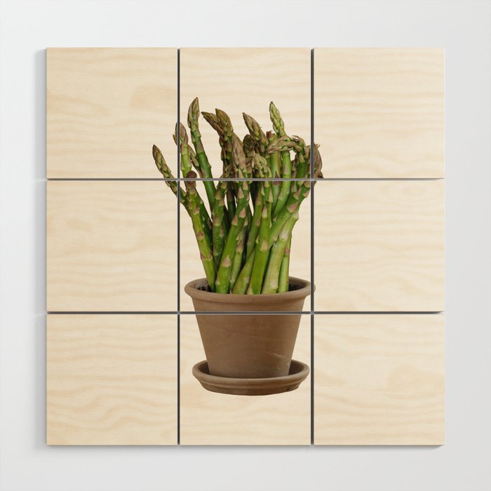 Asparagus flowers Wood Wall Art