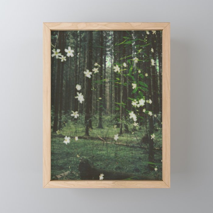 Forest  Framed Mini Art Print