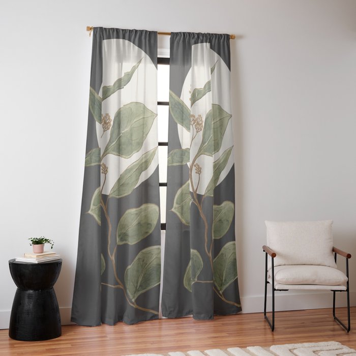 Window Curtain