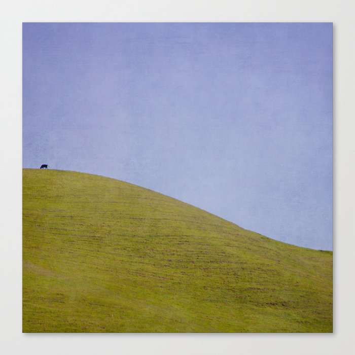 Cow on the Hill Canvas Print