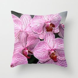 Pink Butterfly Phalaenopsis Orchid Throw Pillow