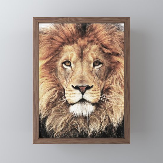 Lion King Framed Mini Art Print By Lotusprintstudio Society6