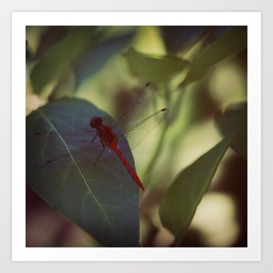 In the Green Art Print