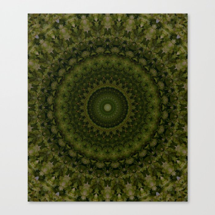 Mandala in olive green tones Canvas Print