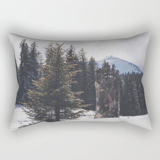 It´s wintertime Rectangular Pillow