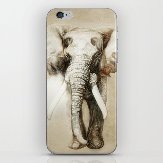 Elephant iPhone & iPod Skin