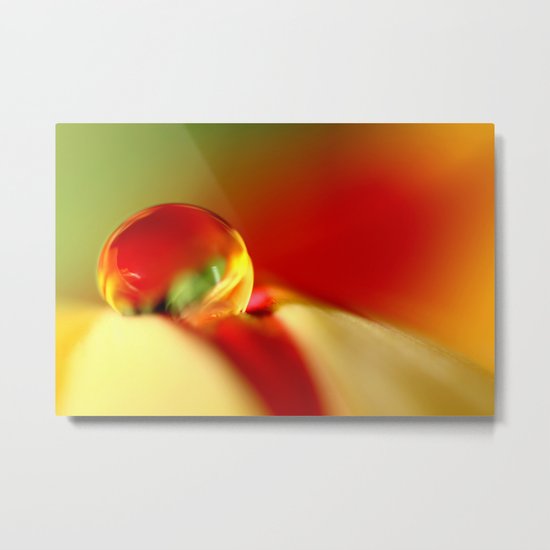 Tulip Droplet Metal Print