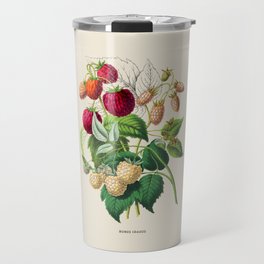 Raspberry Antique Botanical Illustration Travel Mug