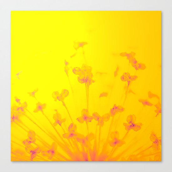 Bright Sunny Morning Canvas Print