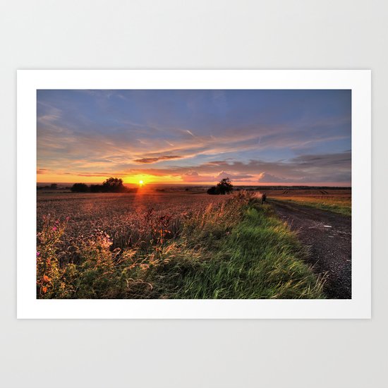 Tamworth Sunset Art Print
