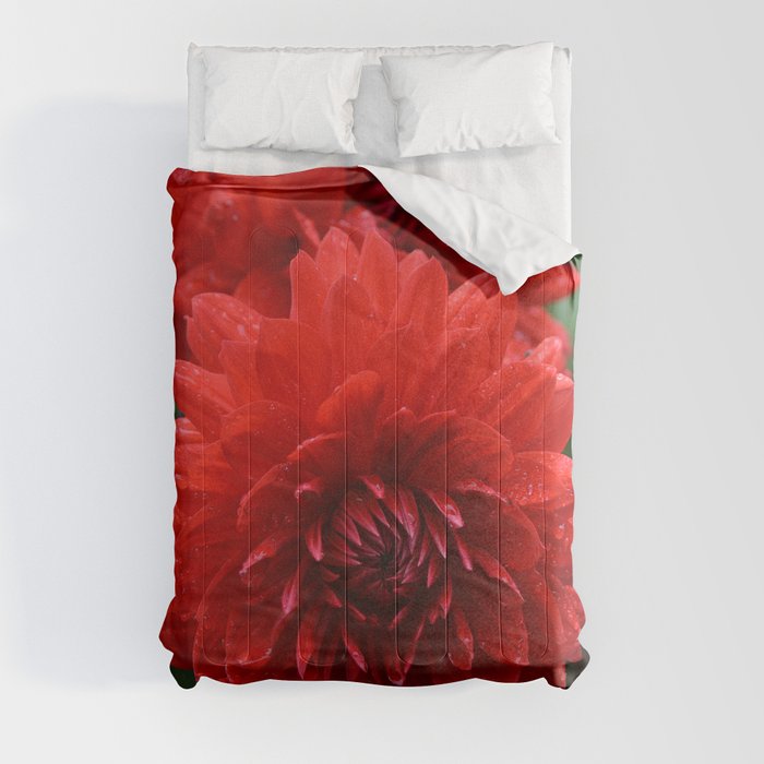 Fresh Rain Drops - Red Dahlia Comforter