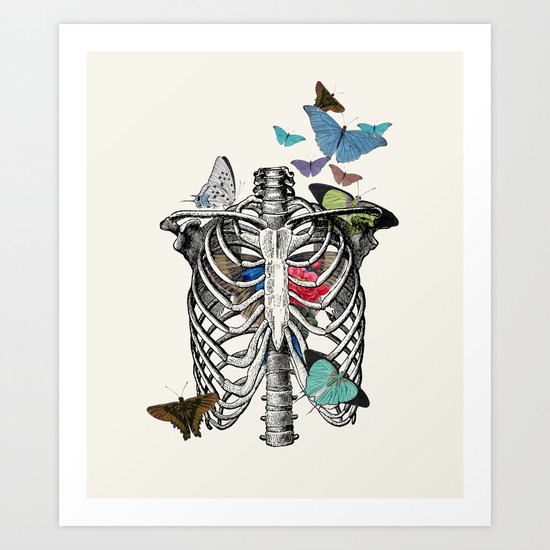Anatomy 101 - The Thorax Art Print