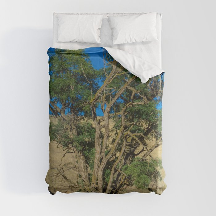 Hawk in Tree, Great Plains Nature Duvet Cover