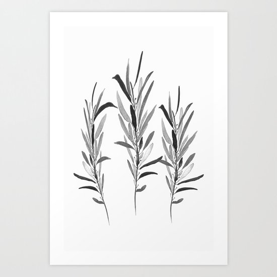 Eucalyptus Branches Black And White Art Print