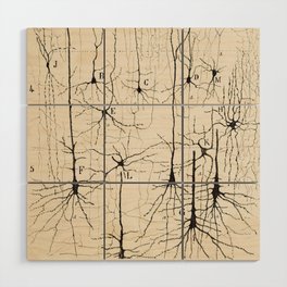 Santiago Ramon y Cajal Neurons Drawing Wood Wall Art