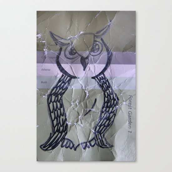 olive owl Canvas Print
