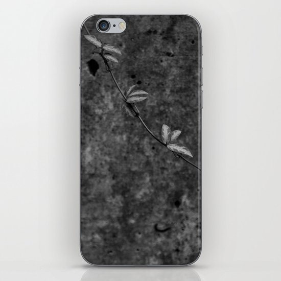 Leaf Trail iPhone & iPod Skin