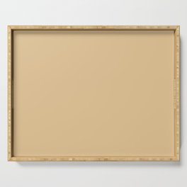 Mid-tone Golden Beige Brown Solid Color Pairs PPG Halo PPG1091-4 - All One Single Shade Hue Colour Serving Tray