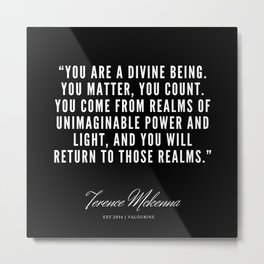 2 |  Terence Mckenna Quote 190516 Metal Print