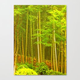 Boundless Bamboo Canvas Print