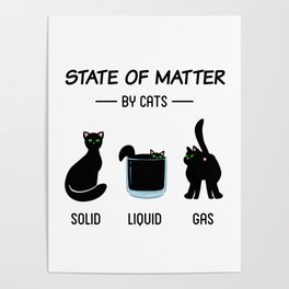 Matter of Cats Poster