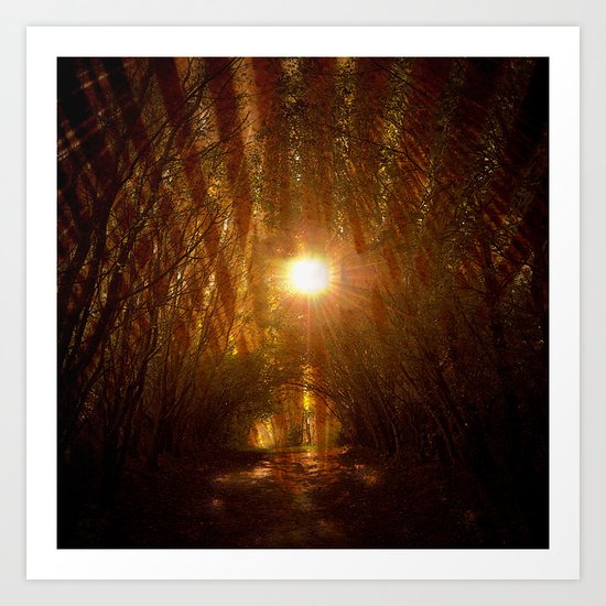 forest ####### Art Print