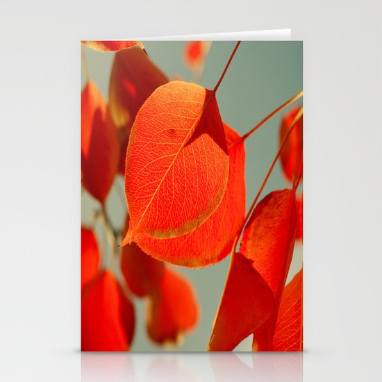 Orange Stationery Cards