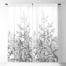 Pine Tree Branches Winter Blackout Curtain