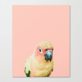 Birds of Paradise - pastel pink Canvas Print