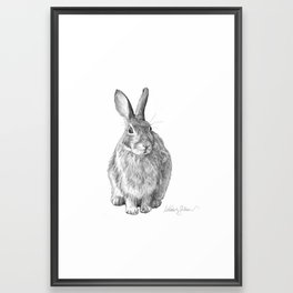 bunny hunny Framed Art Print