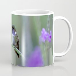 Volcano Hummingbird in Costa Rica Coffee Mug