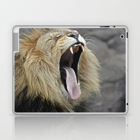 lion yawn Laptop & iPad Skin