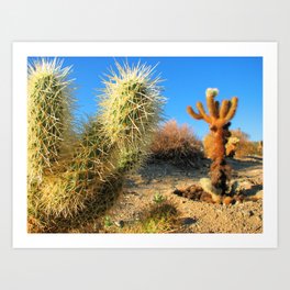 Joshua Tree National Forest Series 2 Art Print