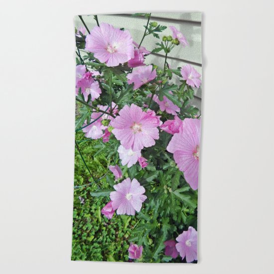 Pink Musk Mallow Bush in Bloom Beach Towel