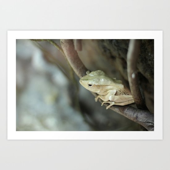 Froggy style Art Print