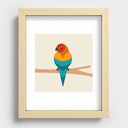 Retro Rainbow Parrot Recessed Framed Print