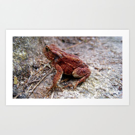 frog. Art Print