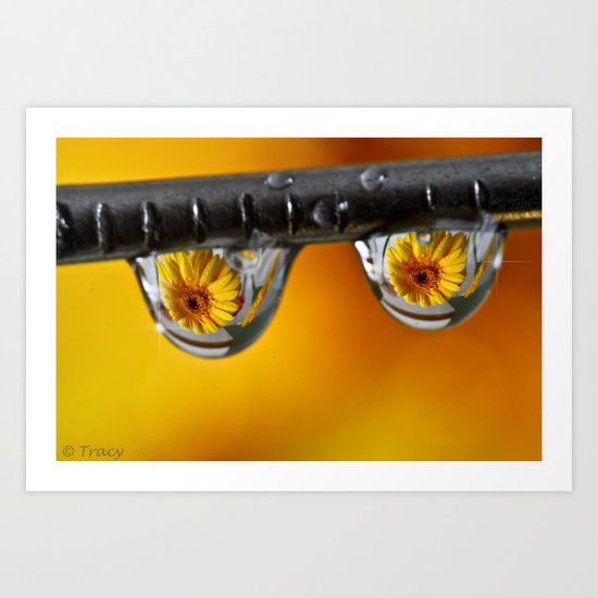 Sunshine Drops Art Print
