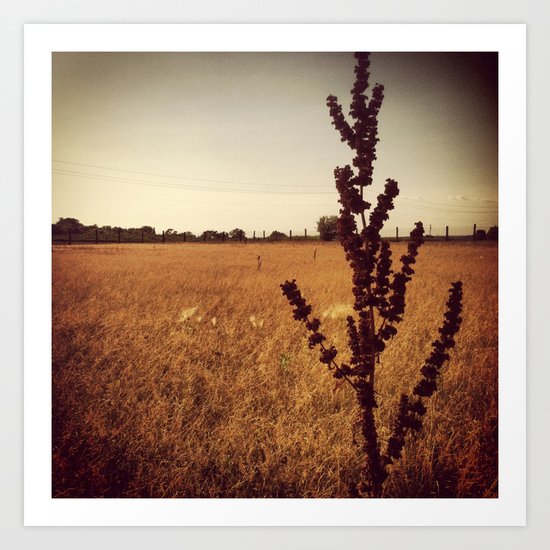Wisconsin Prairie Art Print