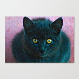 Cute Black Kitten Cat Face Closeup Canvas Print