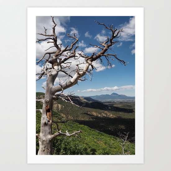 Mesa Verde Art Print