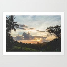 Bali ricefields/ Travel Photography/ Art Print Art Print
