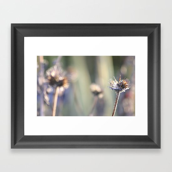 transubstantiation Framed Art Print
