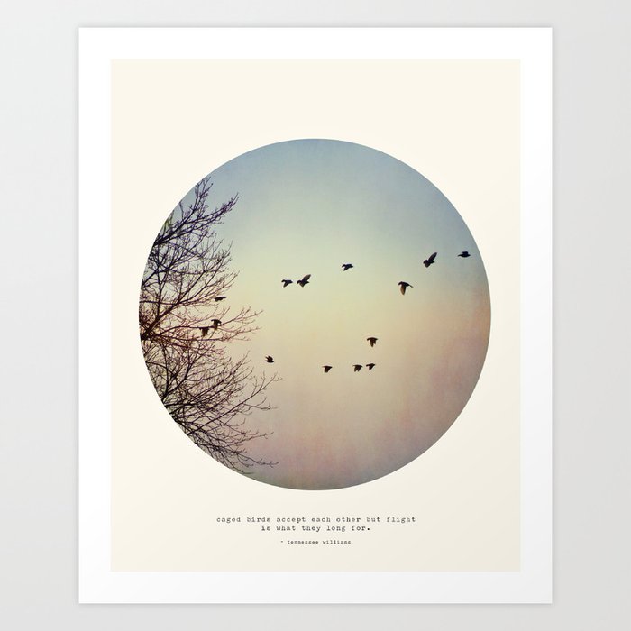 Circle Print Series - Caged Birds Art Print