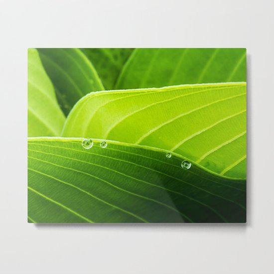 layers of green Metal Print