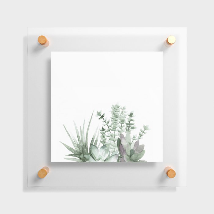 Succulent Floating Acrylic Print
