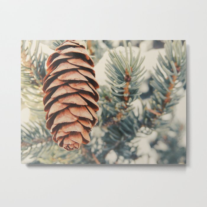 Winter Pine Metal Print