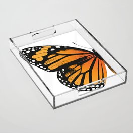 Monarch Butterfly | Left Butterfly Wing | Vintage Butterflies | Acrylic Tray