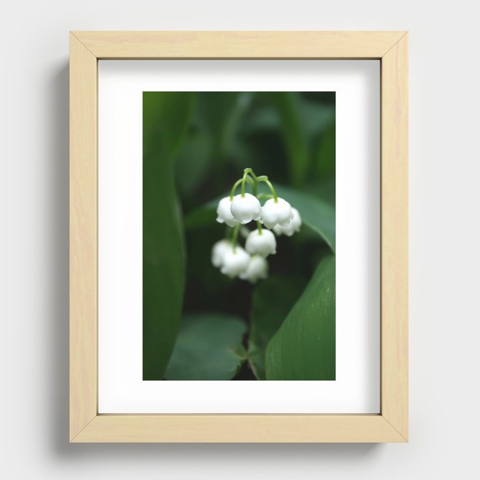 white lilies of the valley Recessed Framed Print